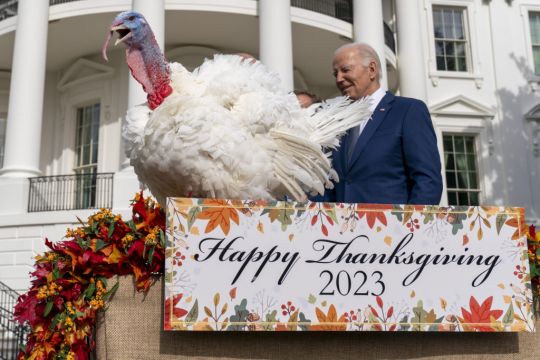 Biden Pardons Thanksgiving Turkeys And Marks His 81St Birthday With Jokes