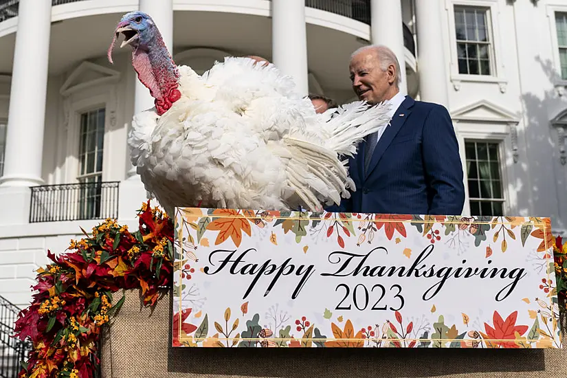 Biden Pardons Thanksgiving Turkeys And Marks His 81St Birthday With Jokes