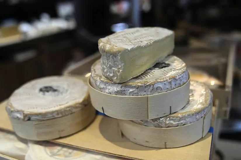 Eu Food Packaging Vote Causes Cultural Stink Over Camembert