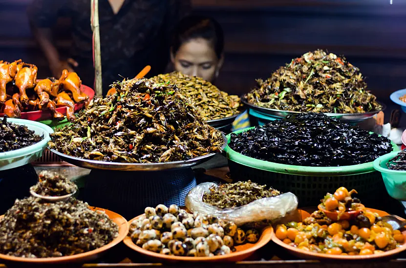 What Happens To Your Body When You Eat Creepy Crawlies On I’m A Celebrity?