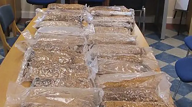 Almost €1m worth of cannabis seized in Dublin and Cavan