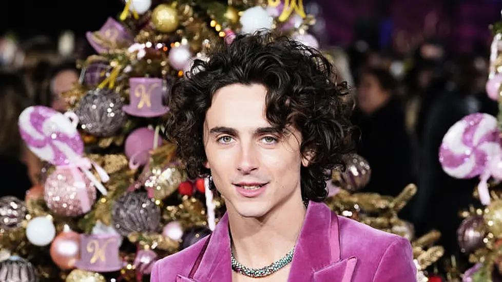 Timothee Chalamet Calls Wonka A 'Joyful' Christmas Film