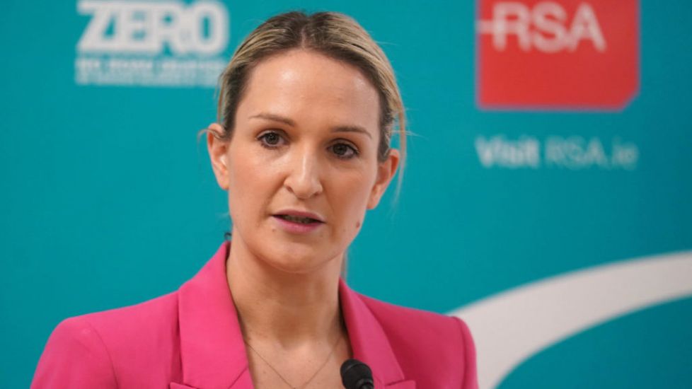 Helen Mcentee Seeks Meeting With Social Media Company After Dublin Riots