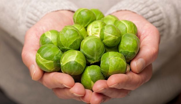 How To Grow Your Own Brussels Sprouts