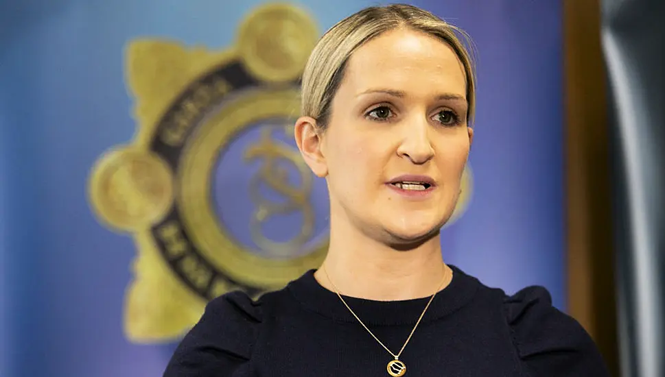 X Labels Mcentee Comments Over Garda Contact Following Dublin Riots 'Inaccurate'