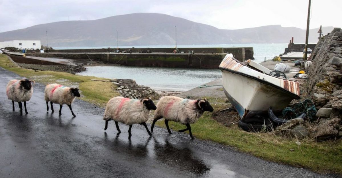 L’Irlande a été désignée meilleure destination de luxe pour les nouveaux arrivants par le magazine Luxury Travel.