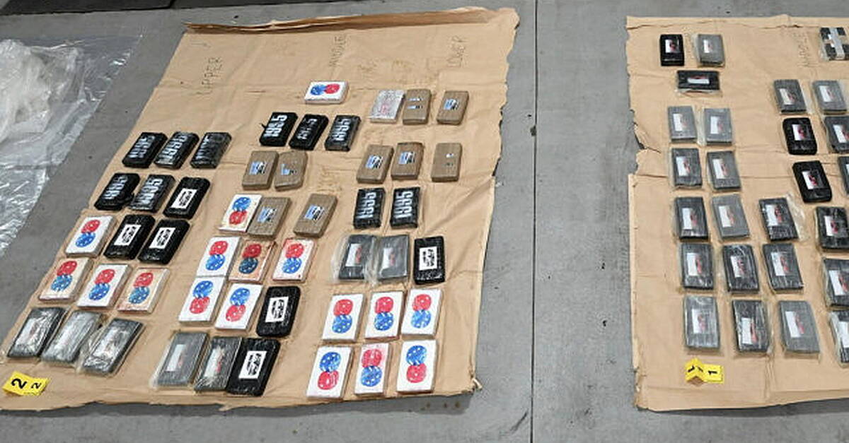 Man to appear in court over seizure of cocaine hidden in frozen meat ...