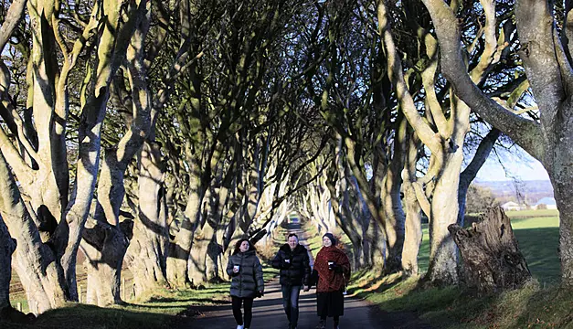 Trees Made Famous By Game Of Thrones ‘Could Disappear Within 15 Years’