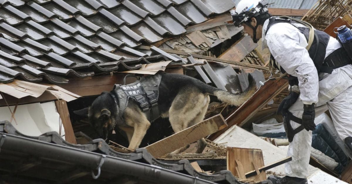Спасителни работници и екипи с кучета спешно пресяваха развалините в