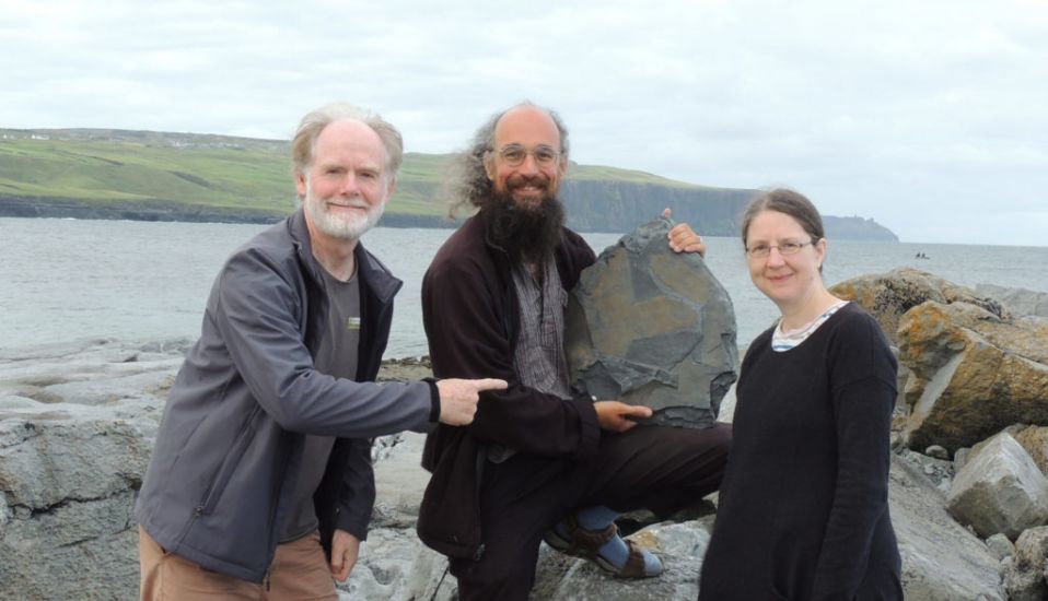 ‘Exceptional’ 315-Million-Year-Old Fossil Sponge Found Near Cliffs Of Moher