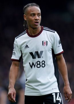 Bobby De Cordova-Reid Stunner Sees Fulham Beat Rotherham In Fa Cup