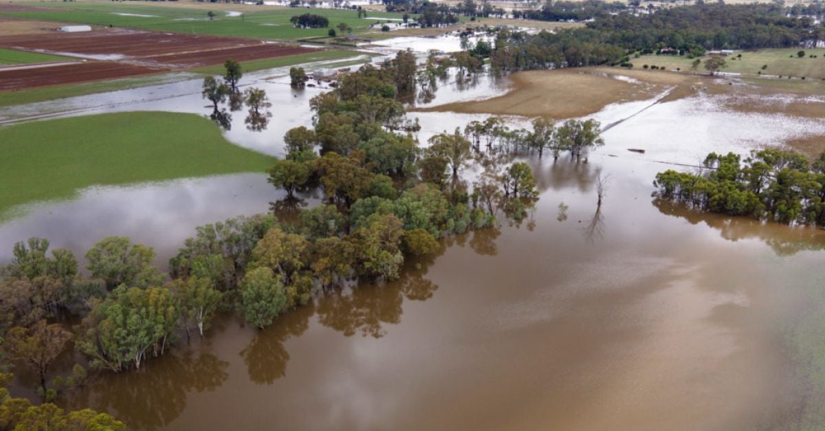 Стотици евакуират домове след наводнения в югоизточна Австралия