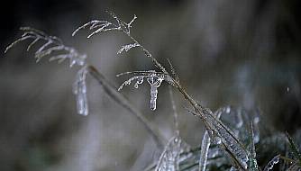 Status Yellow Snow And Ice Warning Issued For Three Counties