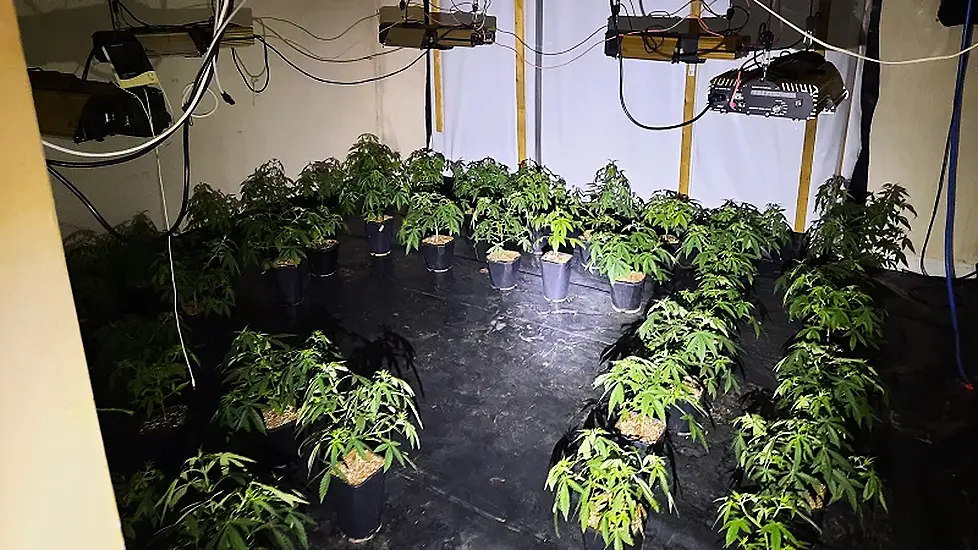 Man Arrested After Cannabis Worth €115,000 Seized From House