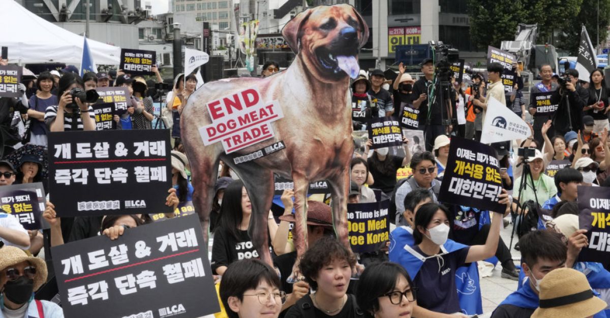 Южнокорейският парламент одобри забележително законодателство, забраняващо производството на кучешко месо
