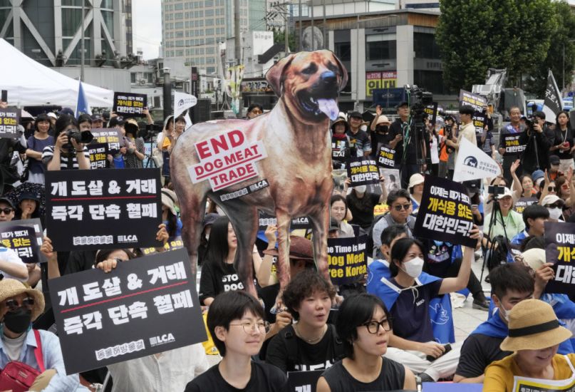 South Korean Parliament Endorses Landmark Legislation Banning Dog Meat Industry