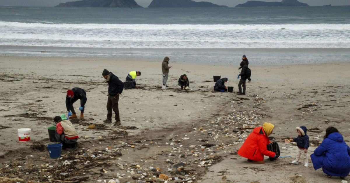 Испания проучва замърсяване на плажове след разпиляване на пластмасови топчета от кораб