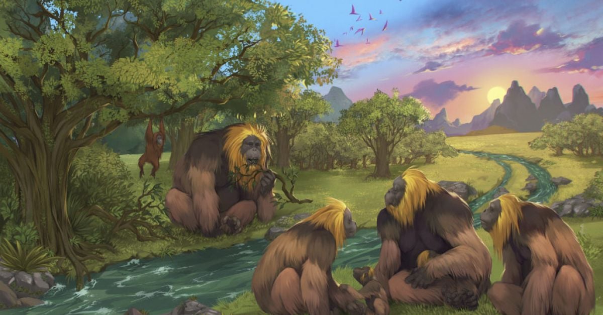 Древен вид човекоподобна маймуна вероятно е бил доведен до изчезване