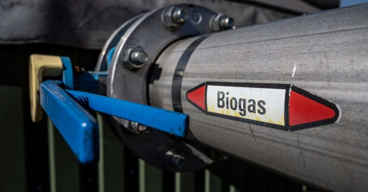 Le groupe Grafton a obtenu une ordonnance du tribunal annulant le permis de son usine de biogaz à Offaly