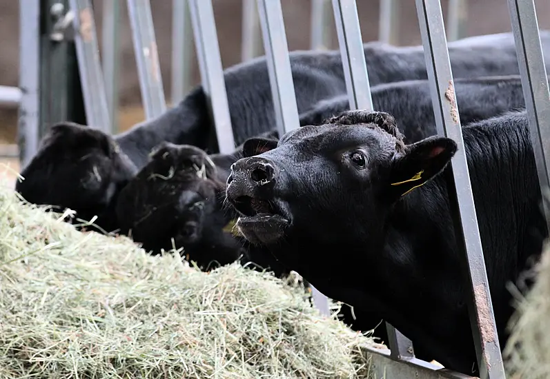 Beef Exports Should Feature In Ireland-China Talks, Says Think Tank