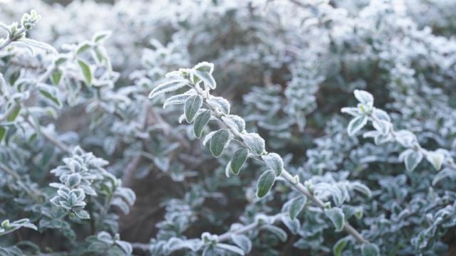 Warnings For Further Ice And Snow As Temperatures Continue To Fall