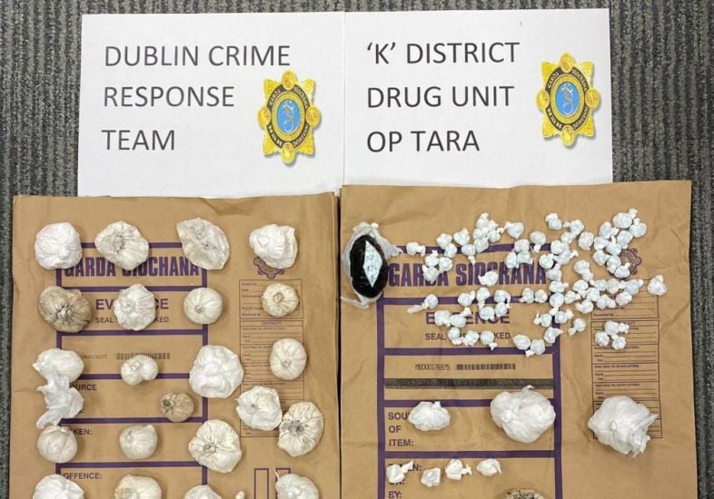 Gardaí Seize Drugs Worth €80,000 After Search Of Dublin Wasteland