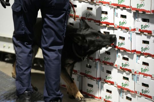Belgian Customs Seize Record Amount Of Cocaine As Eu Faces Drug Violence Rise