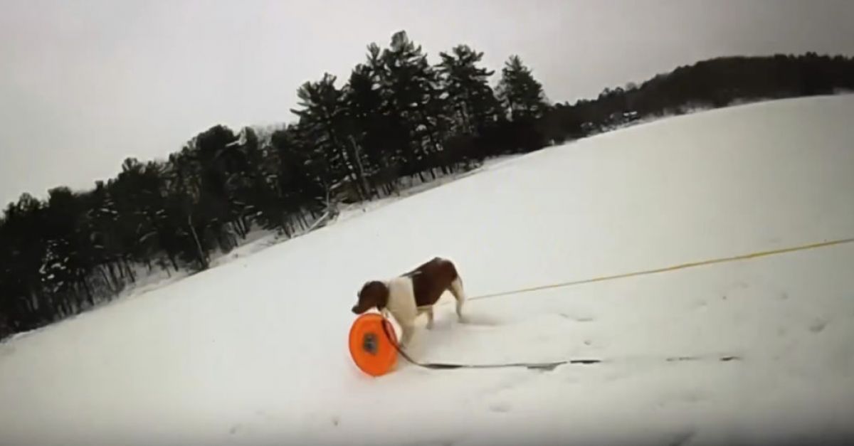 Полицейски служител набира куче на мъж, за да му помогне да го спаси от леденото езеро