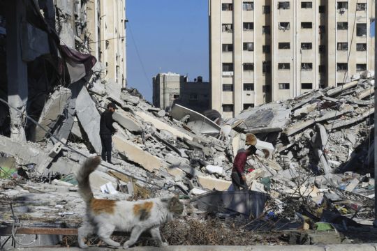 Women And Children Are Main Victims In Gaza War, Says Un