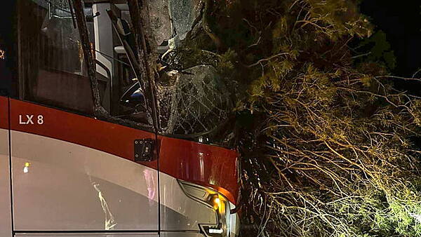 Kildare Nationalist — Lucky escape for driver and passengers after tree smashes into bus - Vimarsana News