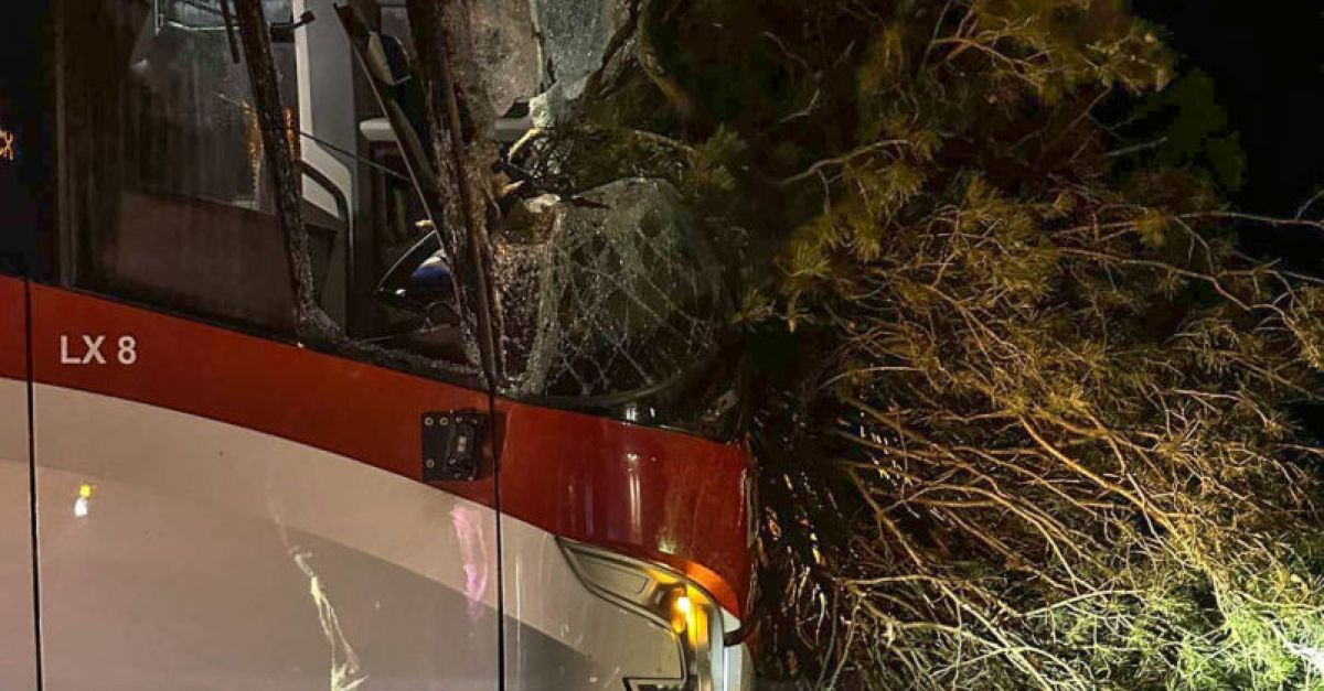 Щастливо бягство за шофьора и пътниците, след като дърво се блъсна в автобус
