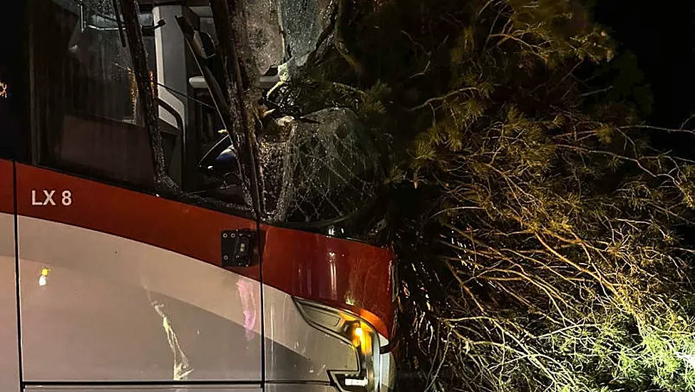 Lucky Escape For Driver And Passengers After Tree Smashes Into Bus