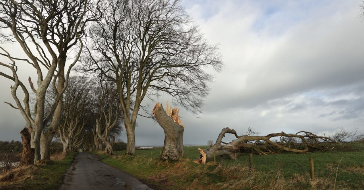 Бурята Джоселин: Хиляди остават без електричество, тъй като още „разрушителни пориви“ удариха Ирландия