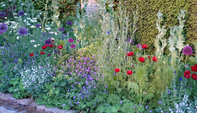 What Is A Low-Carbon Garden And How Do You Achieve It?