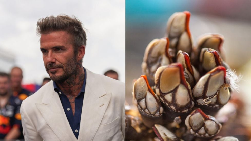 David Beckham Tucks Into Alien-Looking Percebes In Spain – What Are They?