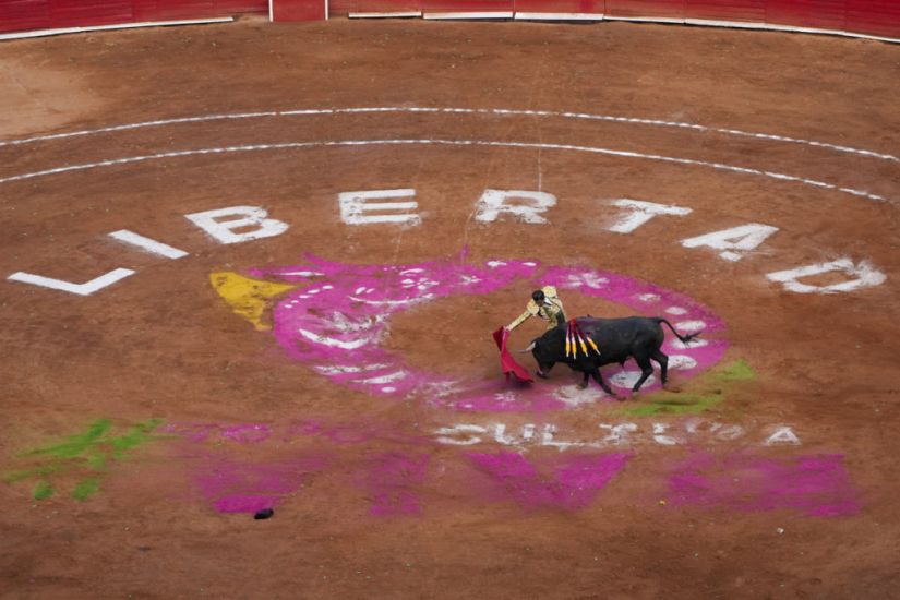 Bullfighting Resumes In Mexico City While Activists Protest Outside