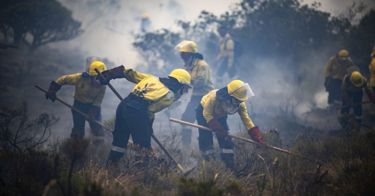 Южна Африка евакуира крайбрежните общности, тъй като горските пожари излизат извън контрол