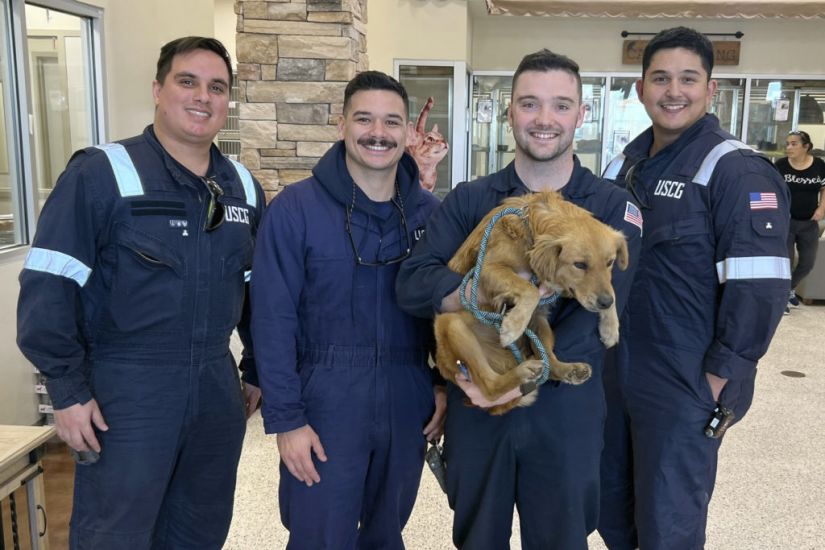 Dog Rescued After More Than Week Trapped Inside Shipping Container At Texas Port