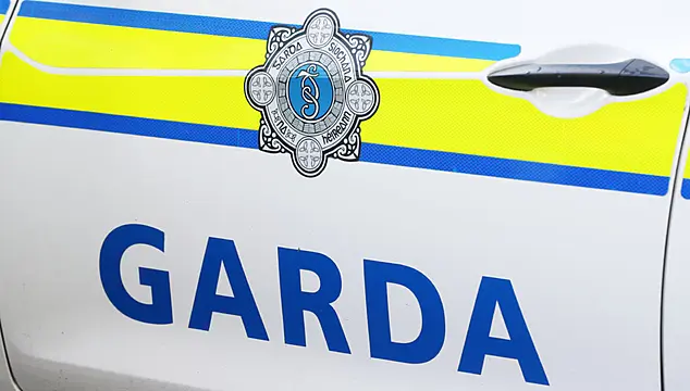 Man and woman due in court after firearms seized in Dublin