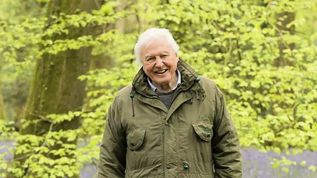 First Look At David Attenborough’s Secret World Of Sound Tv Series
