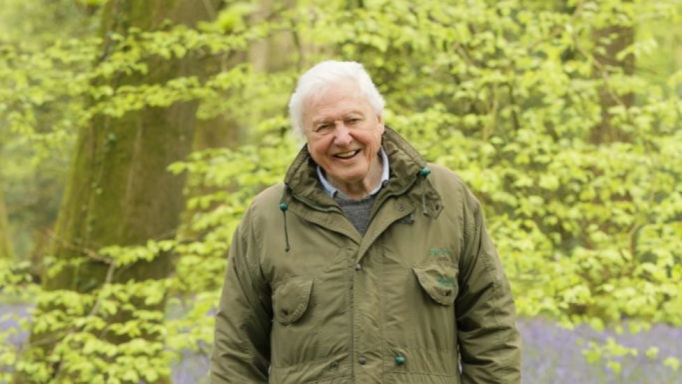 First Look At David Attenborough’s Secret World Of Sound Tv Series