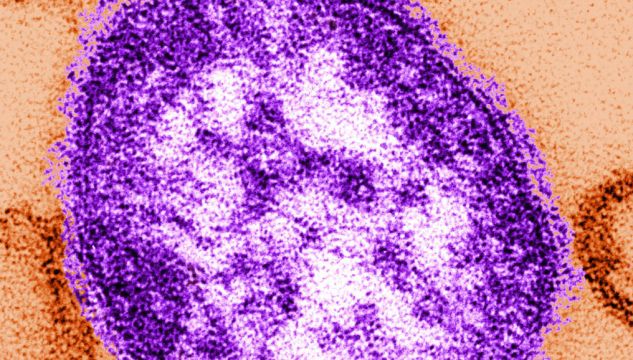 'Critical' To Catch Up On Measles Vaccinations To Stem Outbreaks – Who