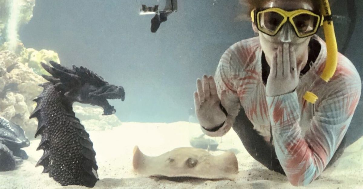 Бременен скат в аквариум без мъжки спътници