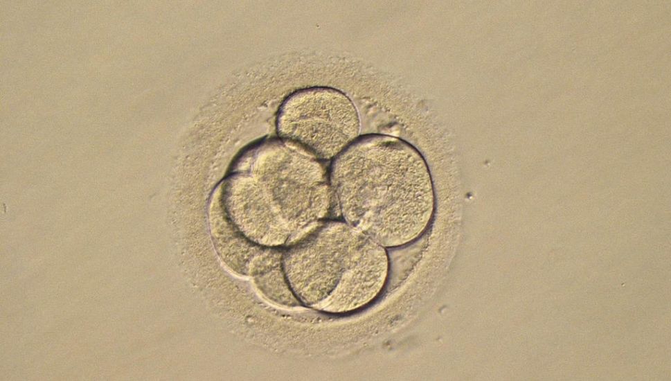 Couple Sue Fertility Clinic Over Loss Of Embryos