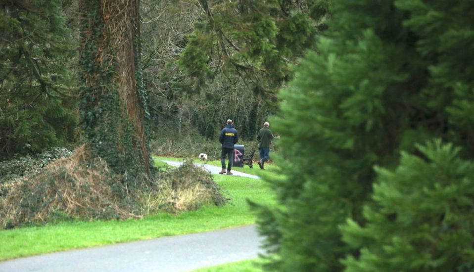 Gardaí Seal Off Wooded Area At Dublin Park In Search For Missing Icelandic Man