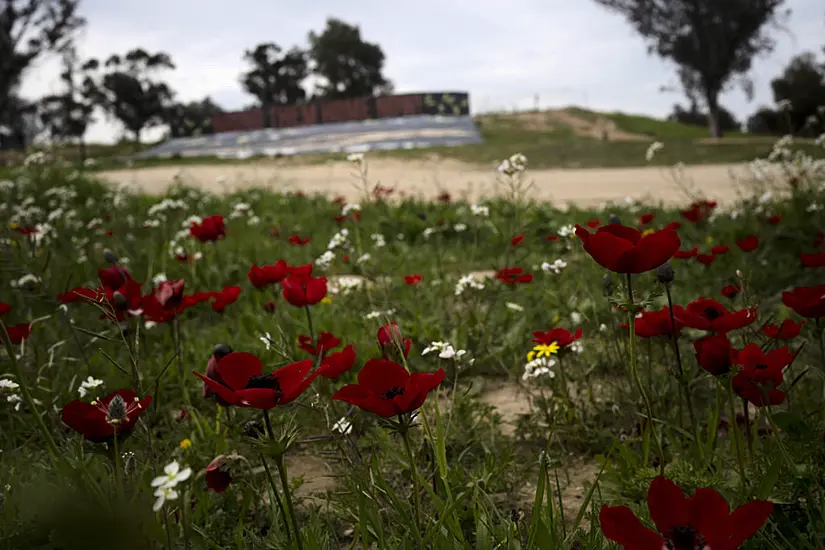 Rape And Sexual Assault Took Place During Hamas Attack, Israeli Association Says