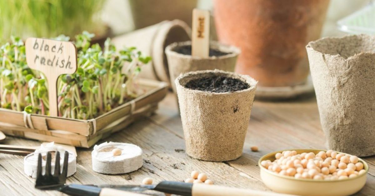 Как да бъдете (почти) без пластмаса във вашата градина