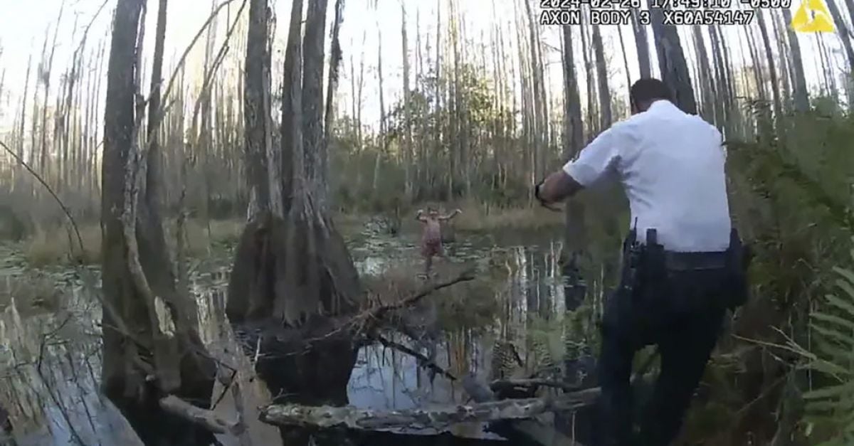 Термовизионна камера на хеликоптер помага за намирането на дете в блатото на Флорида