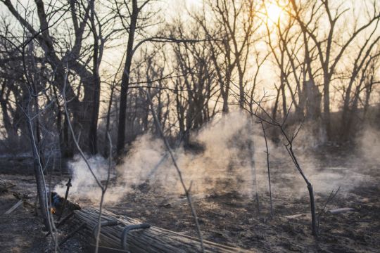 Huge Wildfire Grows To Become Largest In History Of Texas