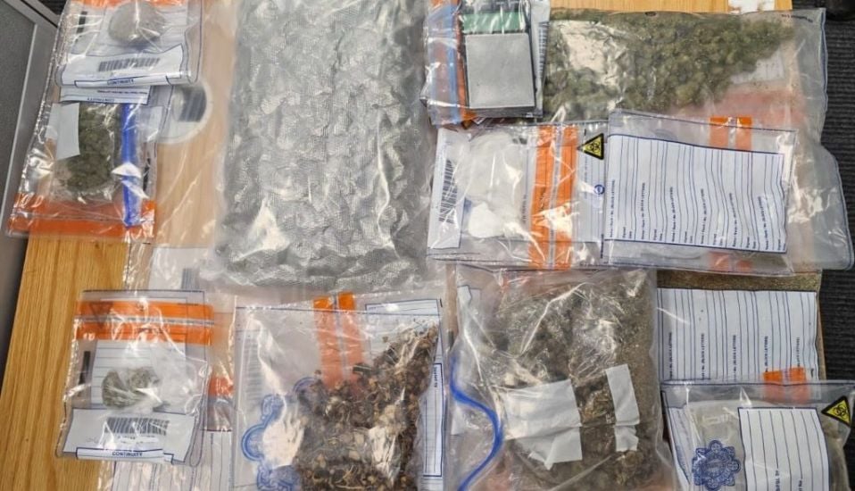 Gardaí Arrest Two Men After Cash And Drugs Seizures In Co Westmeath